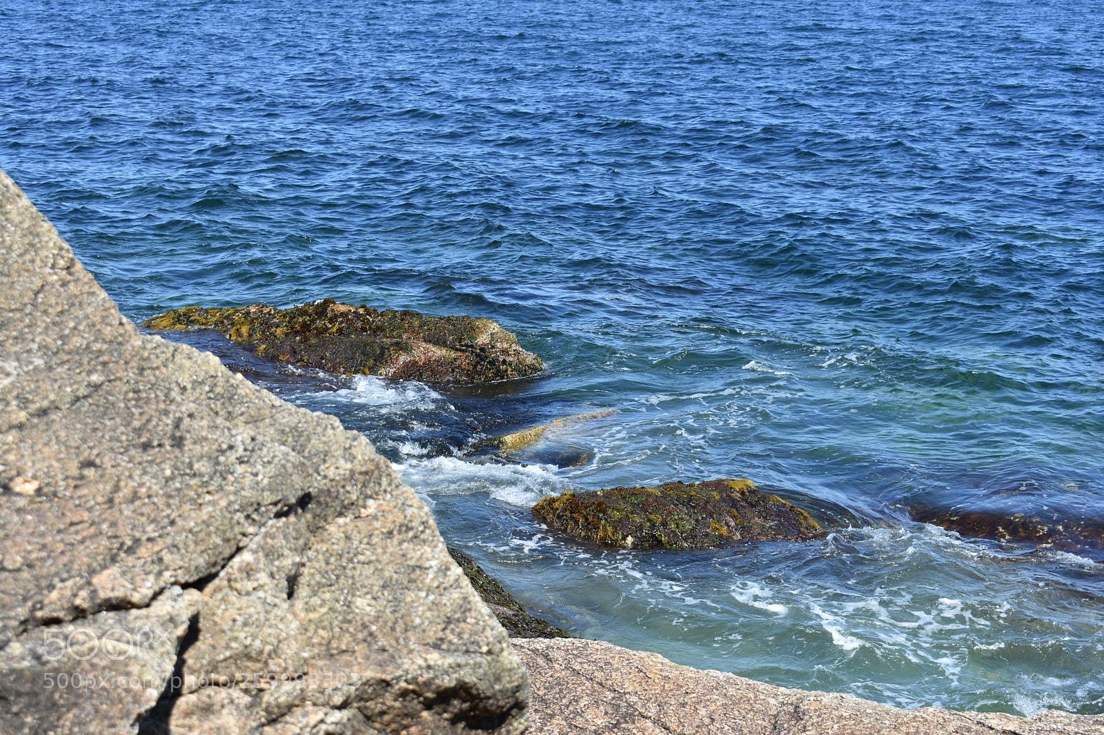 Nikon D3400 sample photo. 2018-05-27 15.32.27.jpg photography