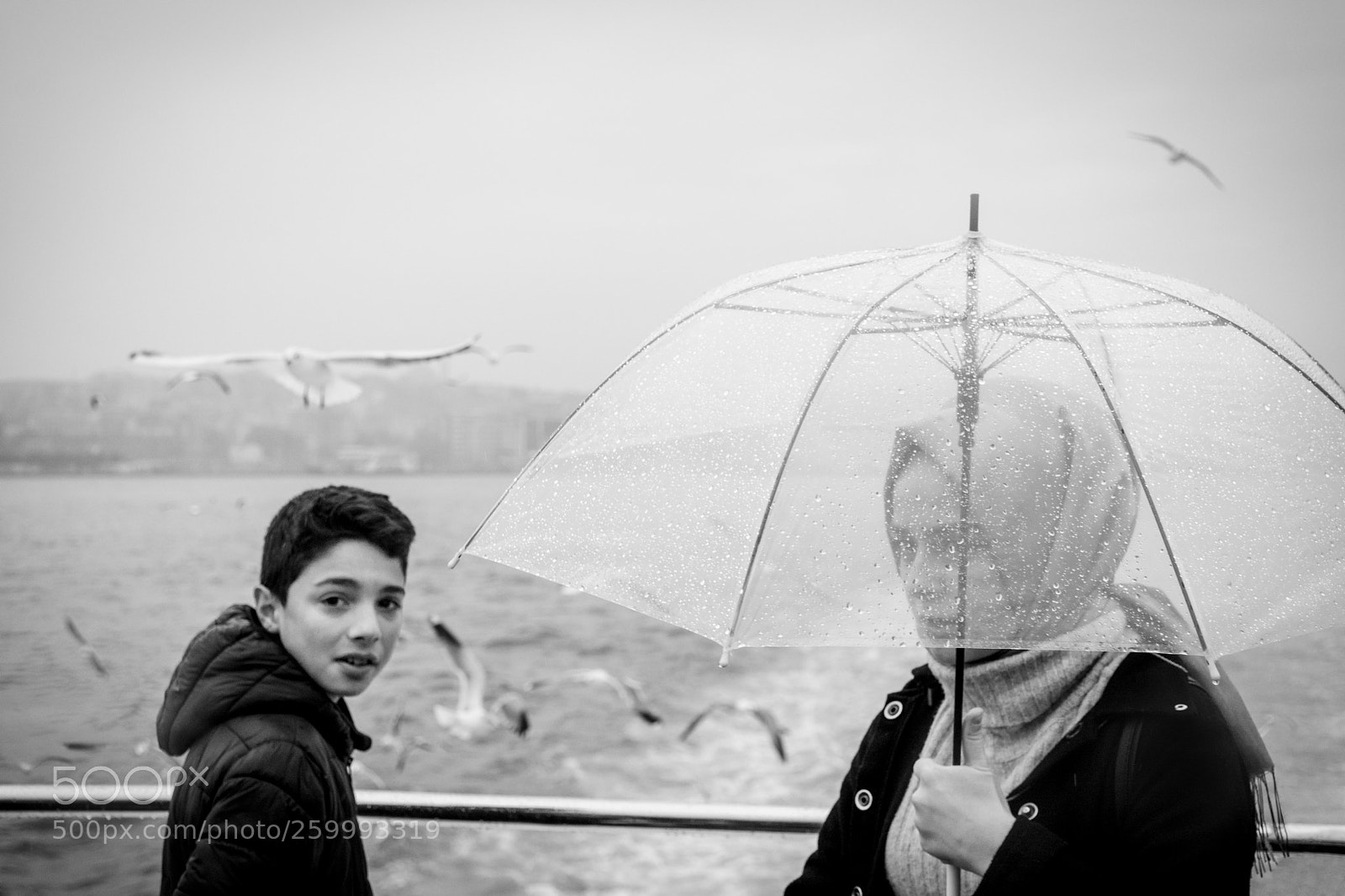 Nikon D7100 sample photo. Unprotected. photography