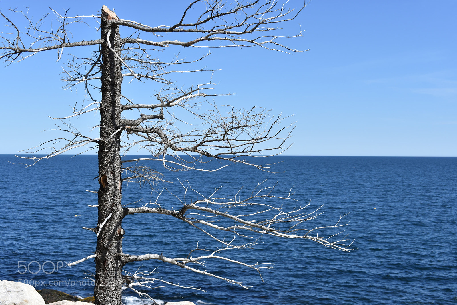 Nikon D3400 sample photo. 2018-05-27 15.53.44.jpg photography