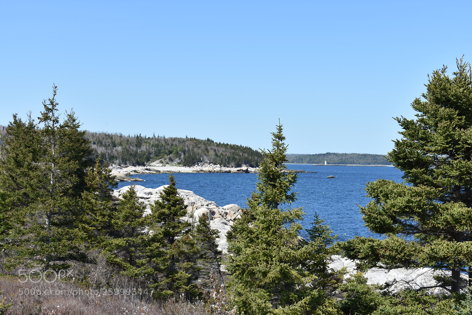 Nikon D3400 sample photo. 2018-05-27 16.00.11.jpg photography