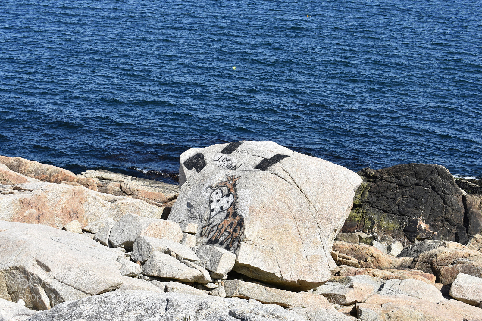 Nikon D3400 sample photo. 2018-05-27 15.57.43.jpg photography