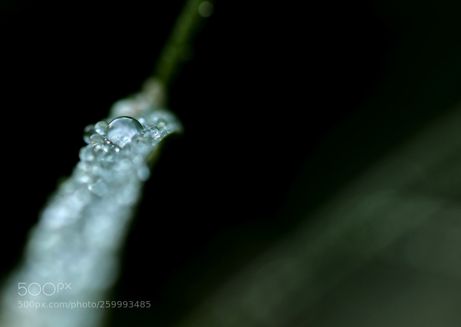 Canon EOS 77D (EOS 9000D / EOS 770D) sample photo. H2o v photography