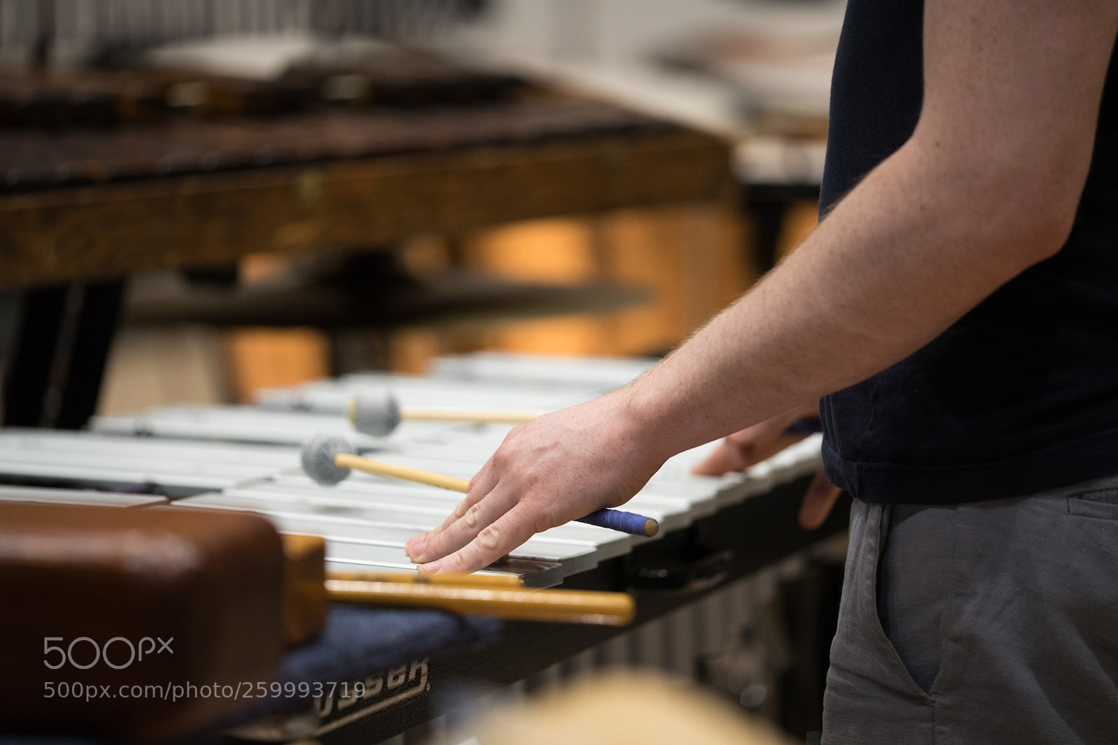 Sony a7 II sample photo. Dsc photography