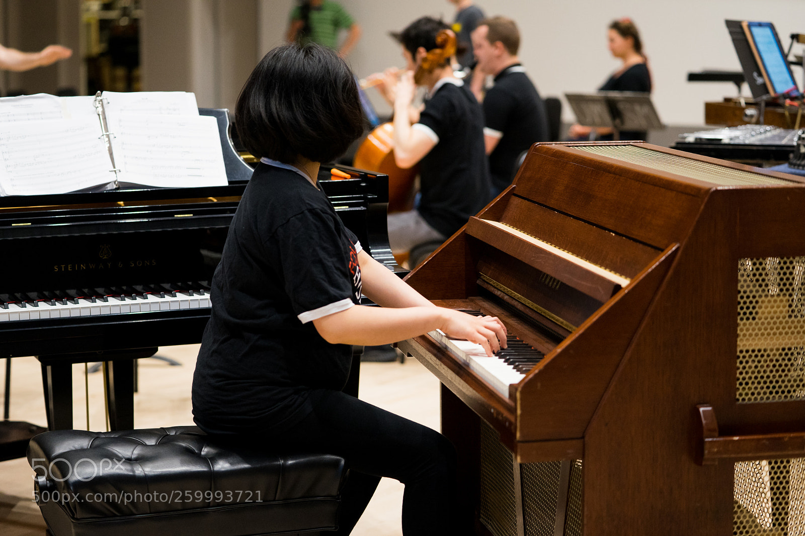 Sony a7 II sample photo. Dsc photography