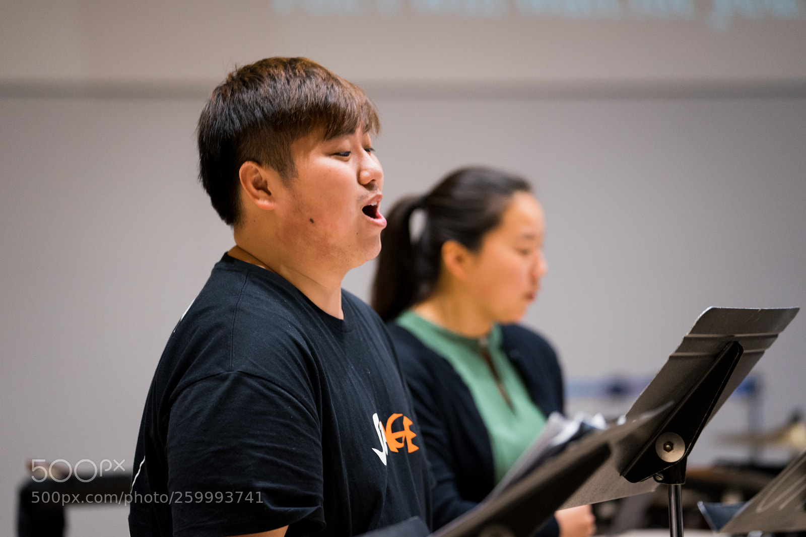 Sony a7 II sample photo. Dsc photography