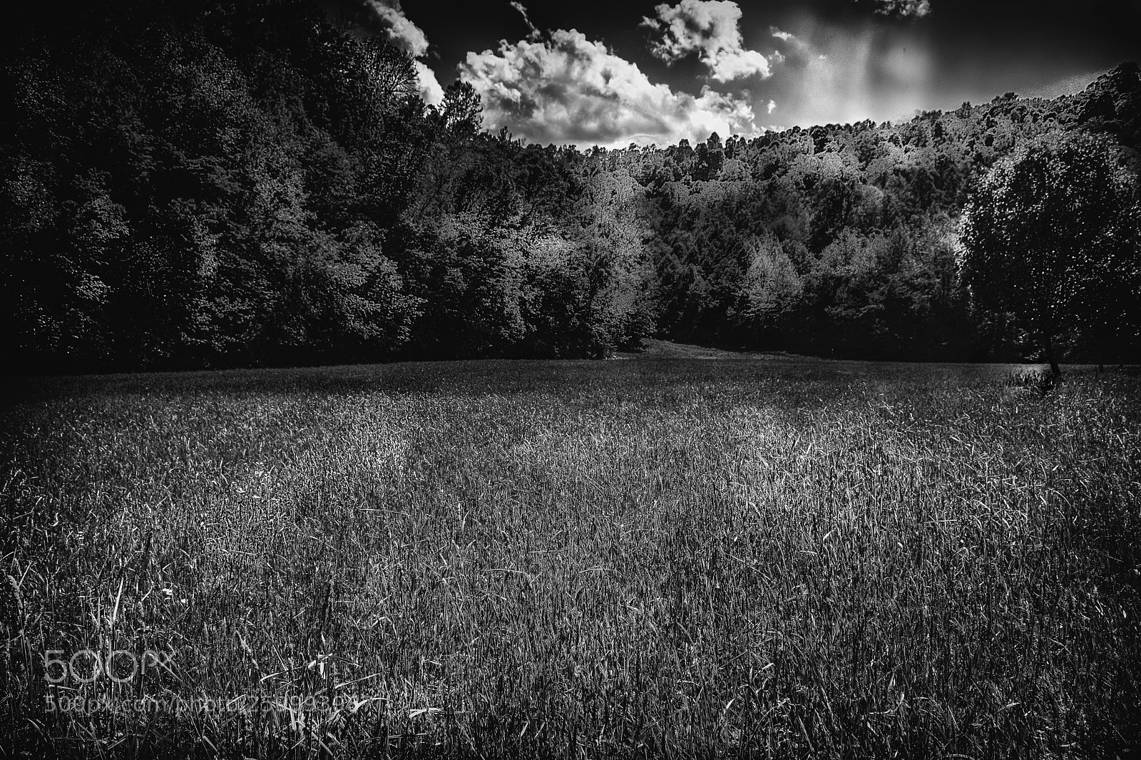 Nikon D7100 sample photo. Sunlight patterns photography