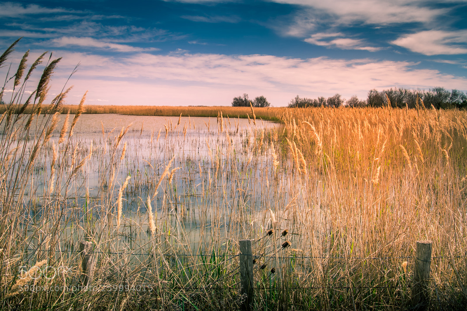 Nikon D3300 sample photo. Pont de gau photography