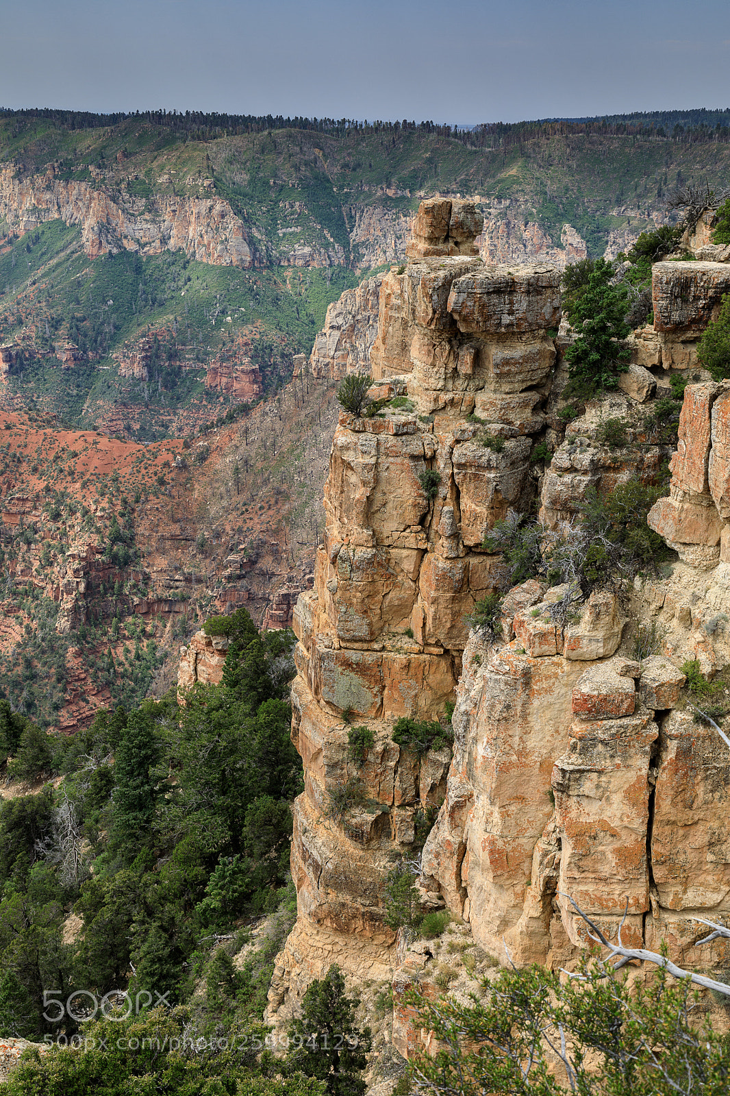 Canon EOS 5D Mark IV sample photo. Grand canyon national park 3115 photography