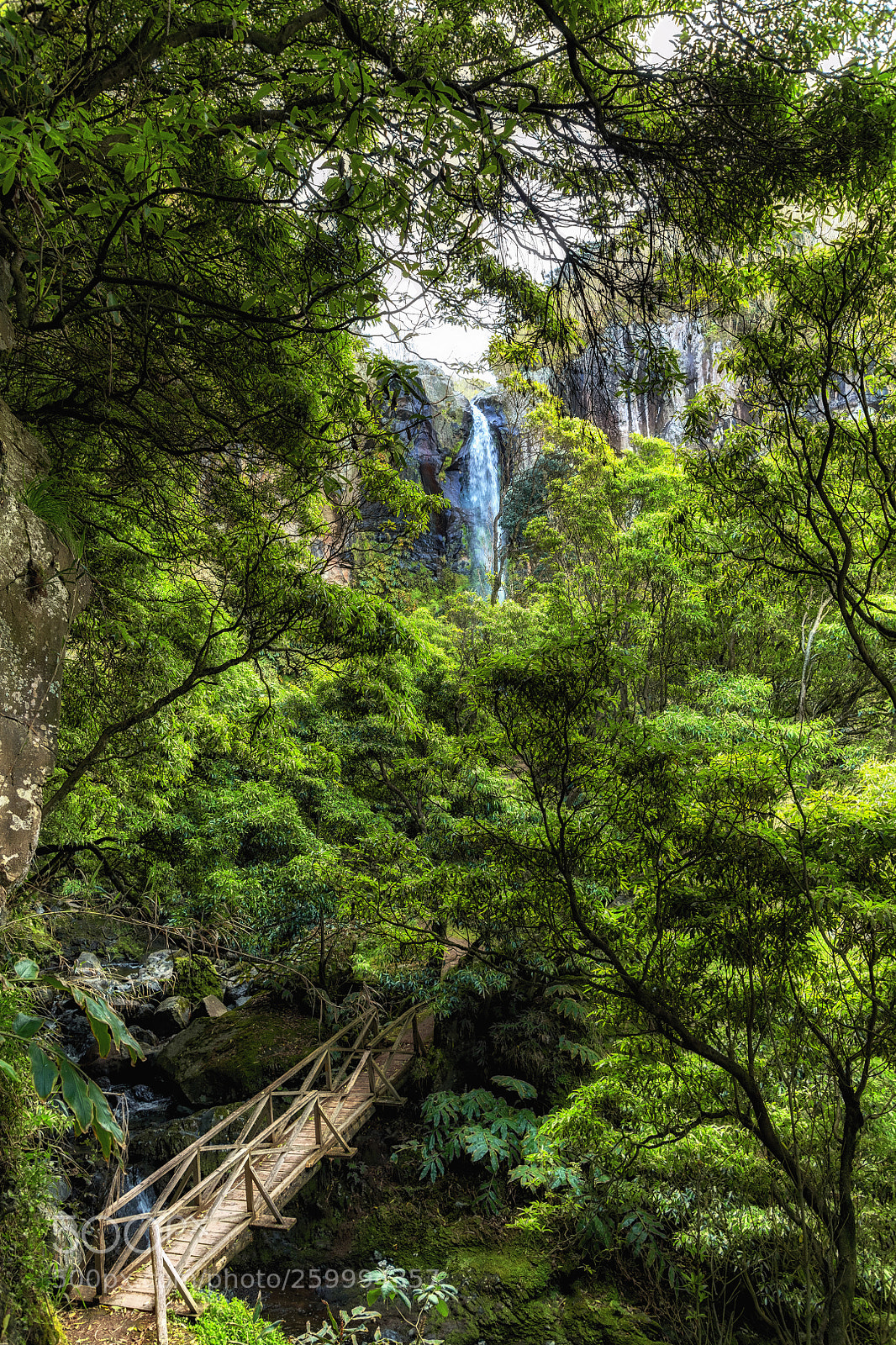 Nikon D850 sample photo. Waterfall in sight photography