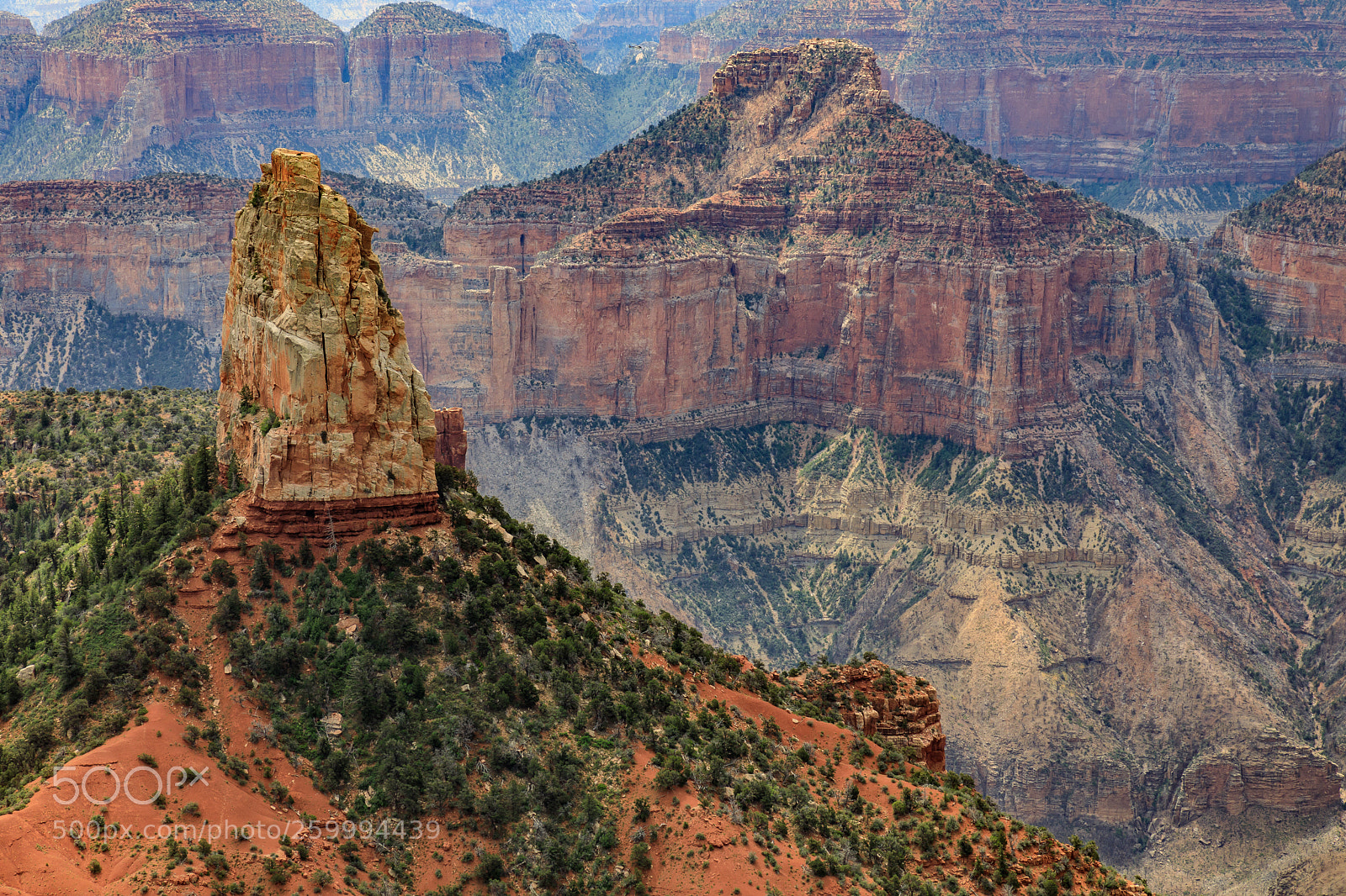 Canon EOS 5D Mark IV sample photo. Grand canyon national park 3130 photography