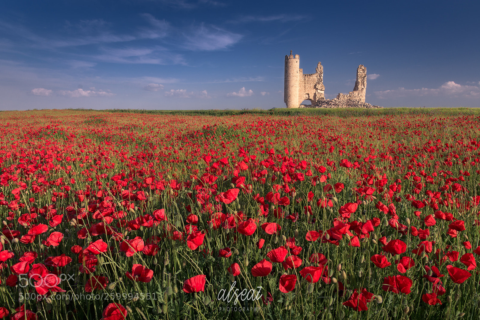 Nikon D7200 sample photo. Campos de castilla (caudilla) photography