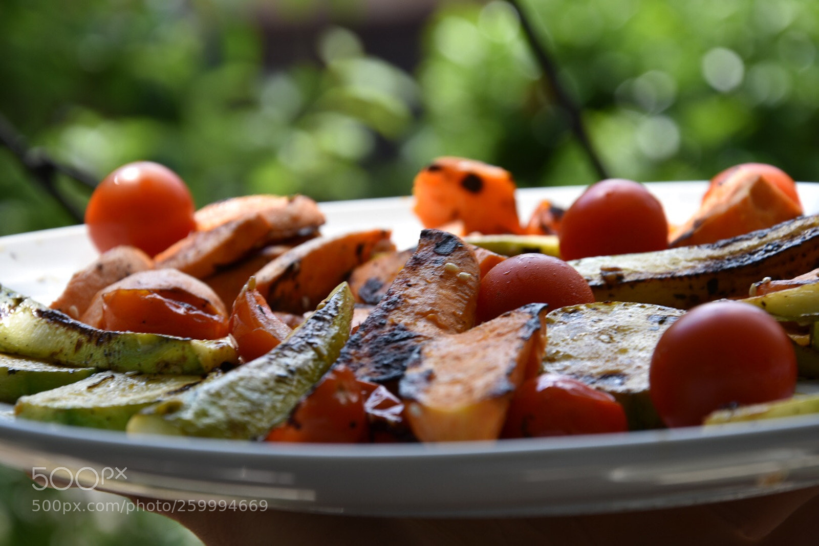 Nikon D3400 sample photo. Untitled photography