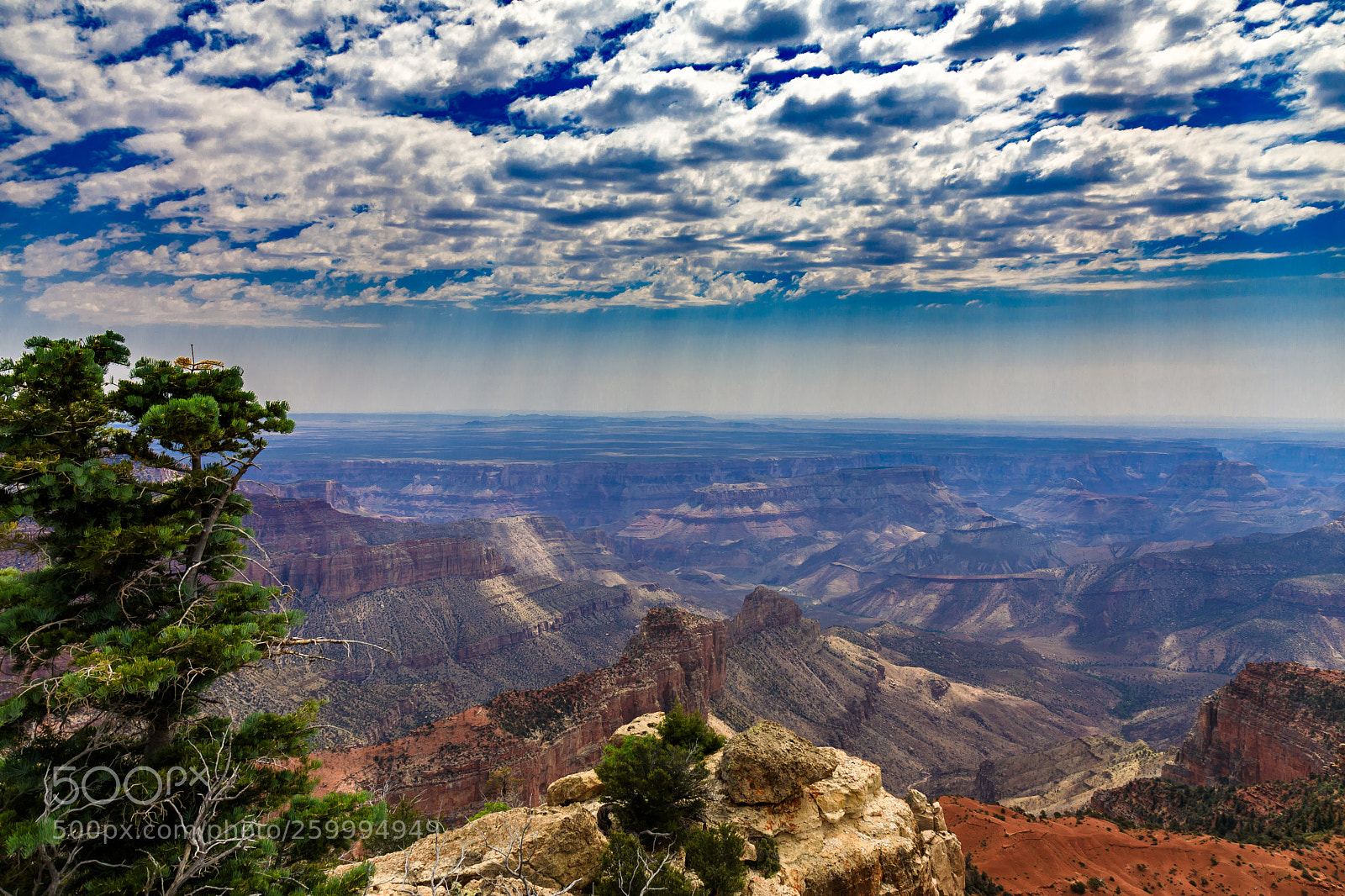 Canon EOS 5D Mark IV sample photo. Grand canyon national park photography