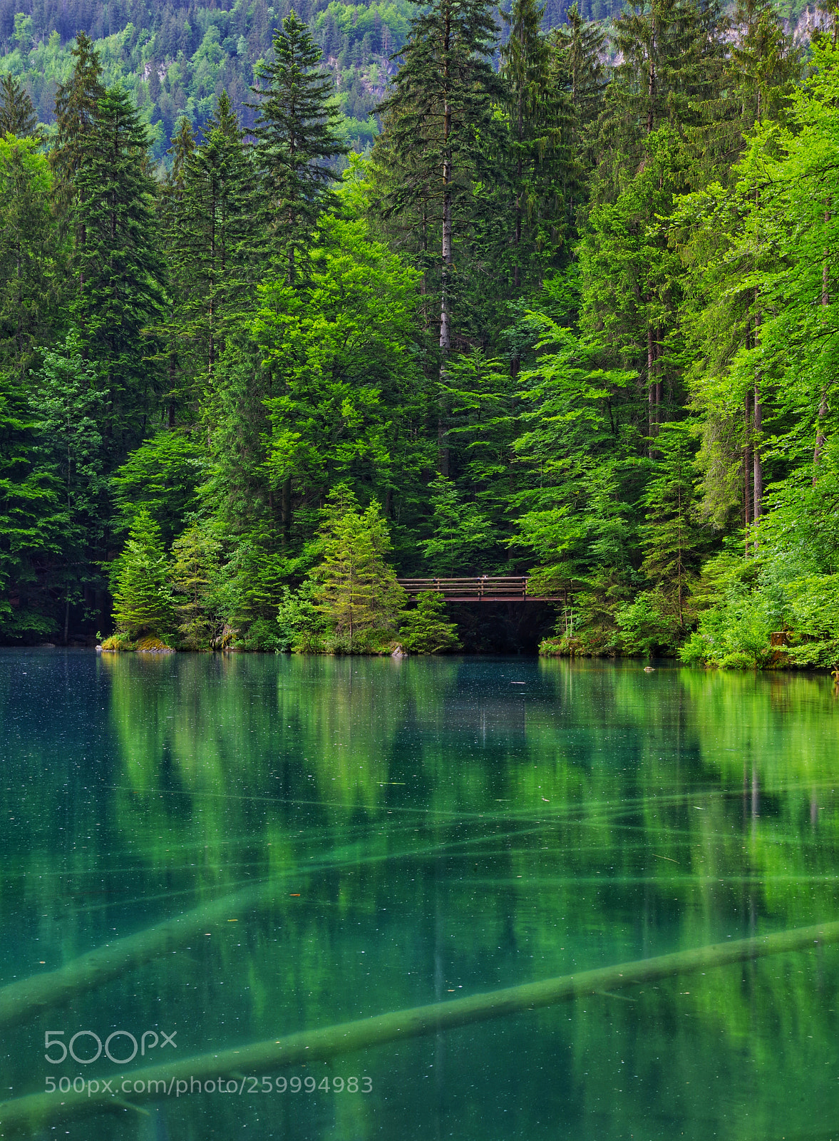 Pentax K-1 sample photo. Blausee photography