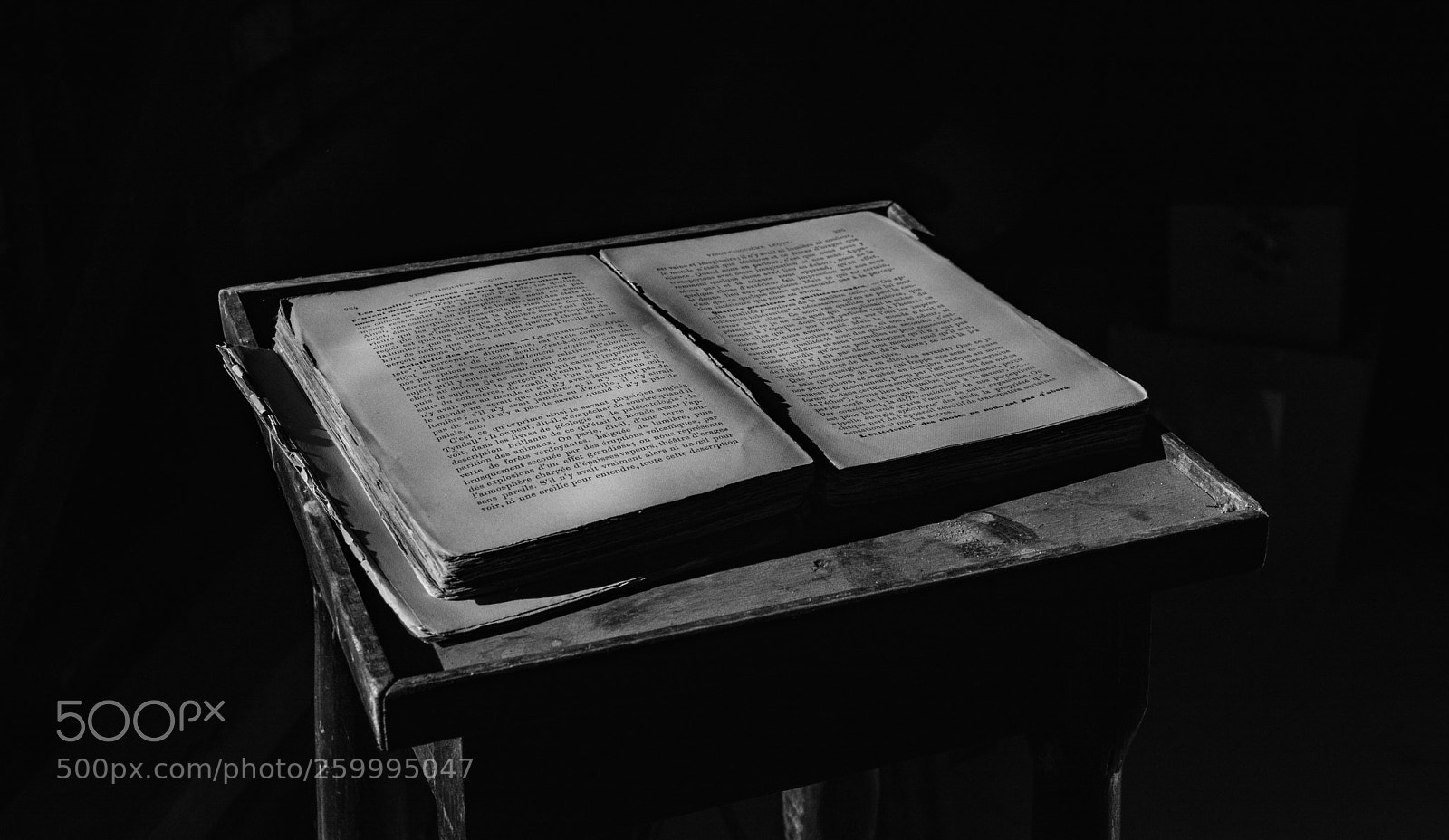 Nikon D5200 sample photo. Enlightened photography