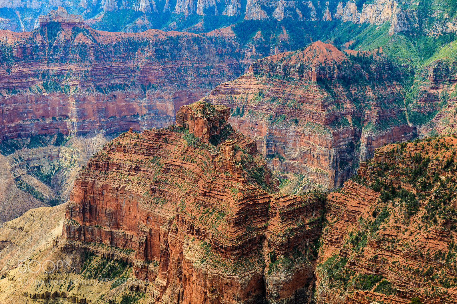 Canon EOS 5D Mark IV sample photo. Grand canyon national park photography