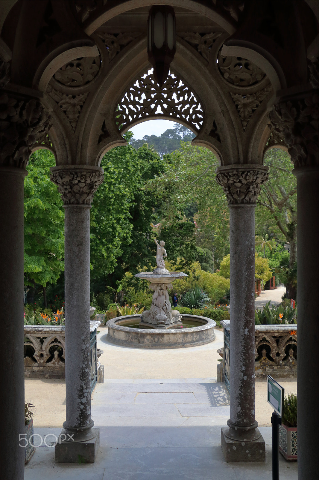 Canon EOS 80D sample photo. Monserrate photography