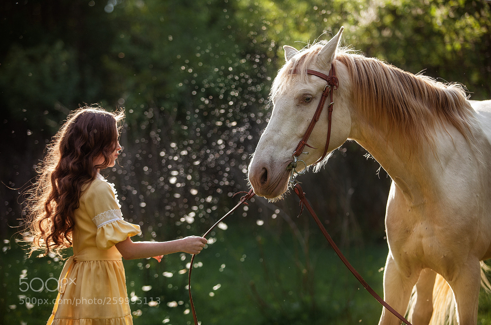 Canon EOS 5D Mark II sample photo. Untitled photography
