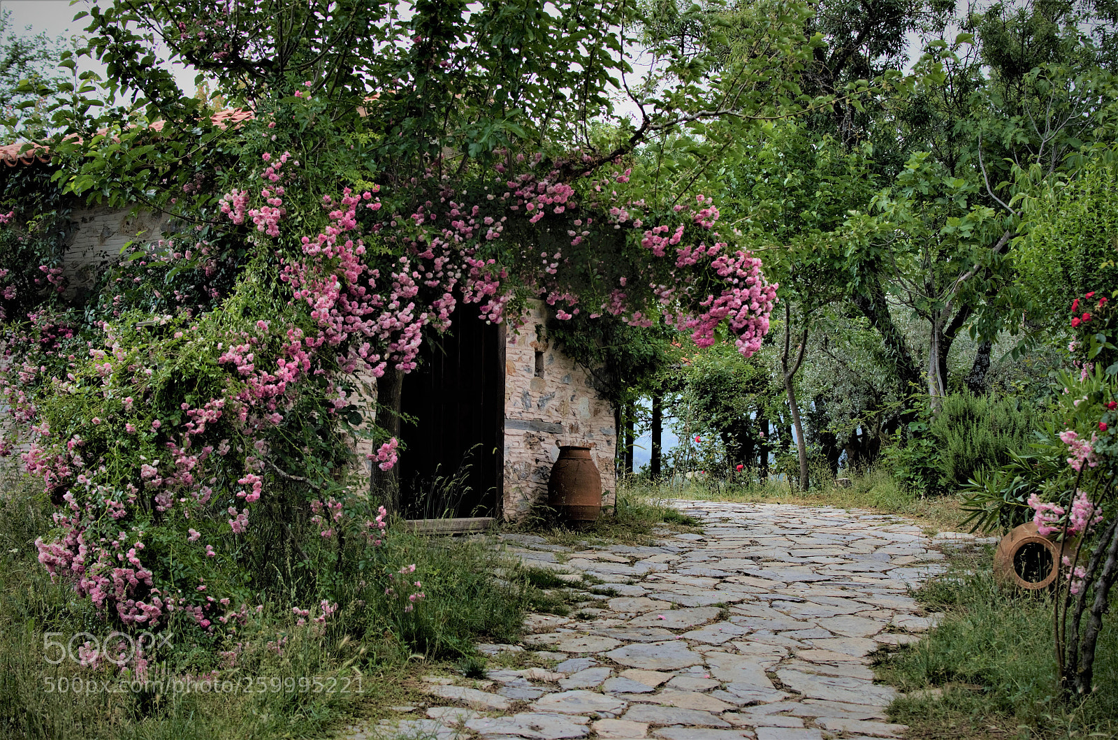 Nikon D7000 sample photo. Kerimoğlu photography