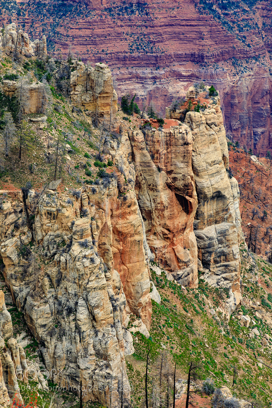 Canon EOS 5D Mark IV sample photo. Grand canyon national park photography