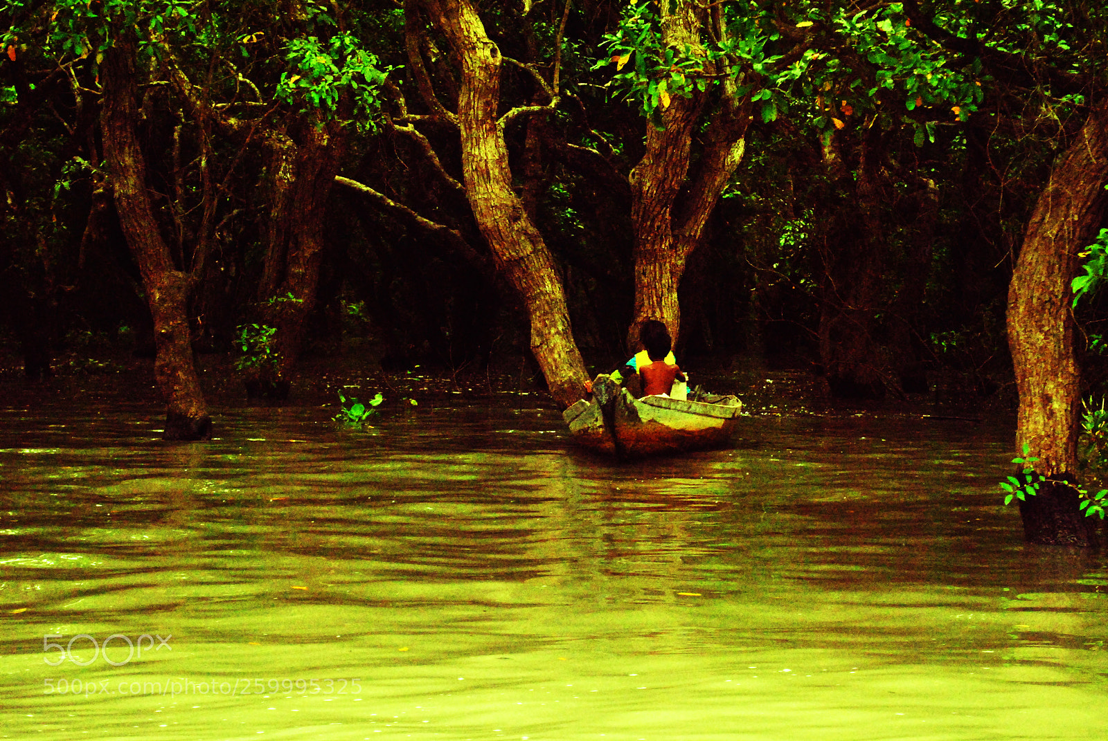 Nikon D3000 sample photo. Silent waters photography