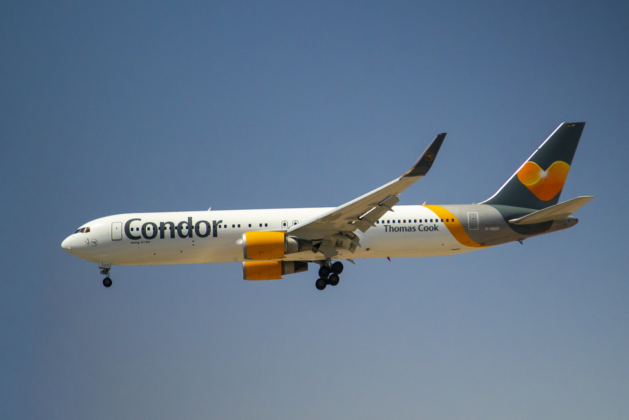 Sony a7S II sample photo. Condor service comes to phx photography