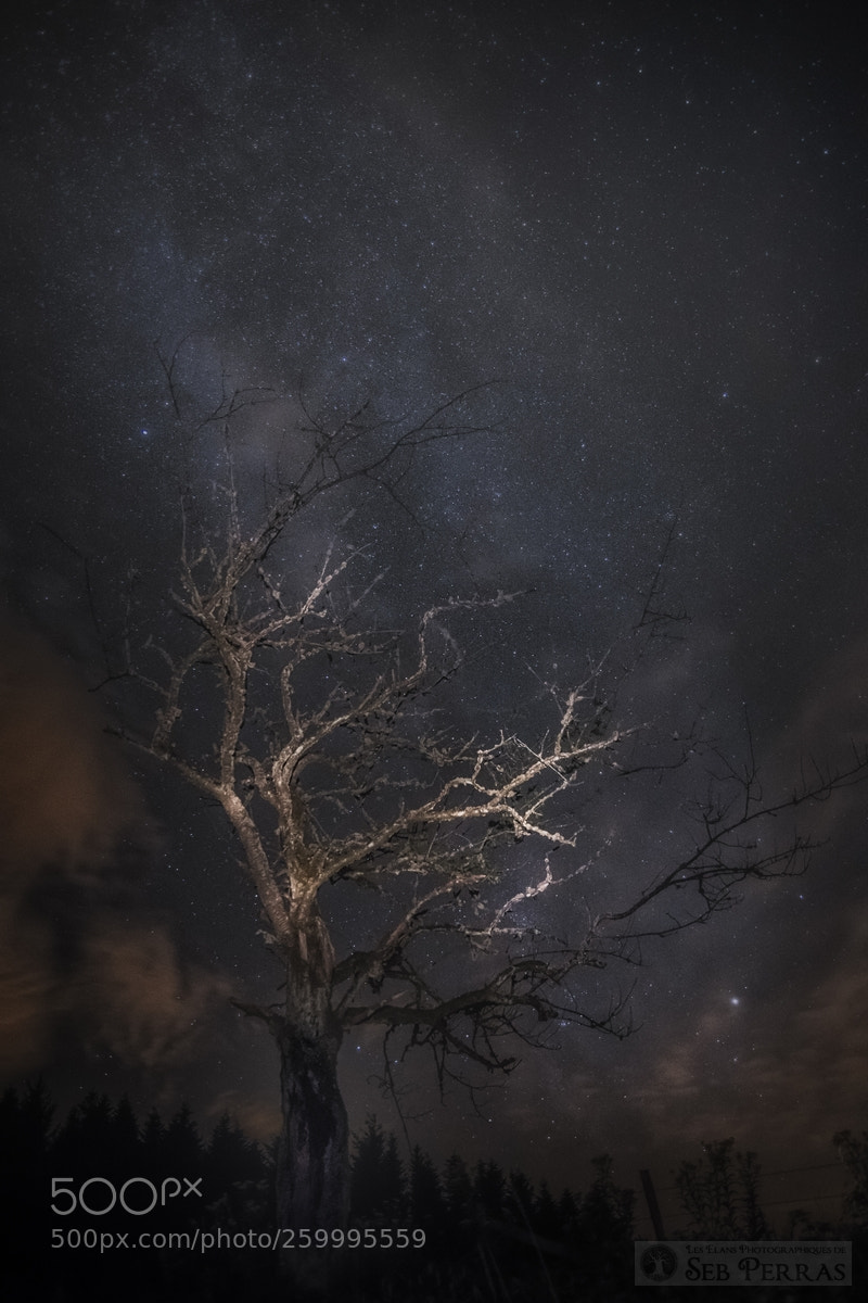 Sony ILCA-77M2 sample photo. Under the stars system photography