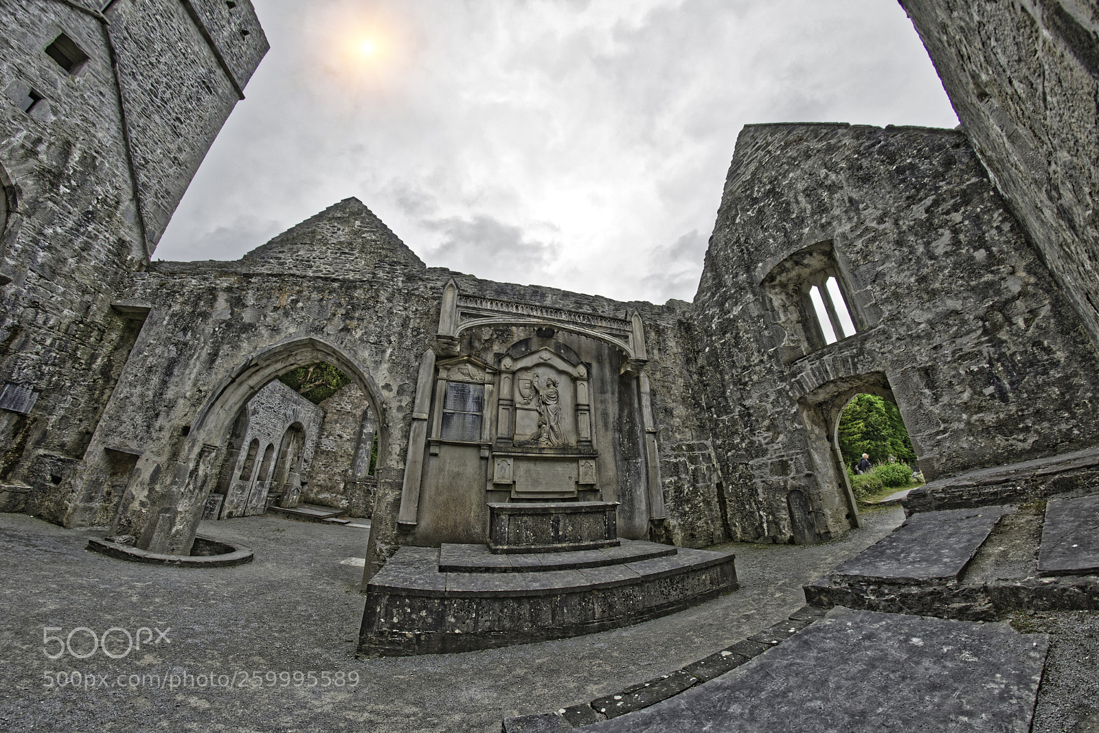 Nikon D810 sample photo. Ruins of muckross abbey photography