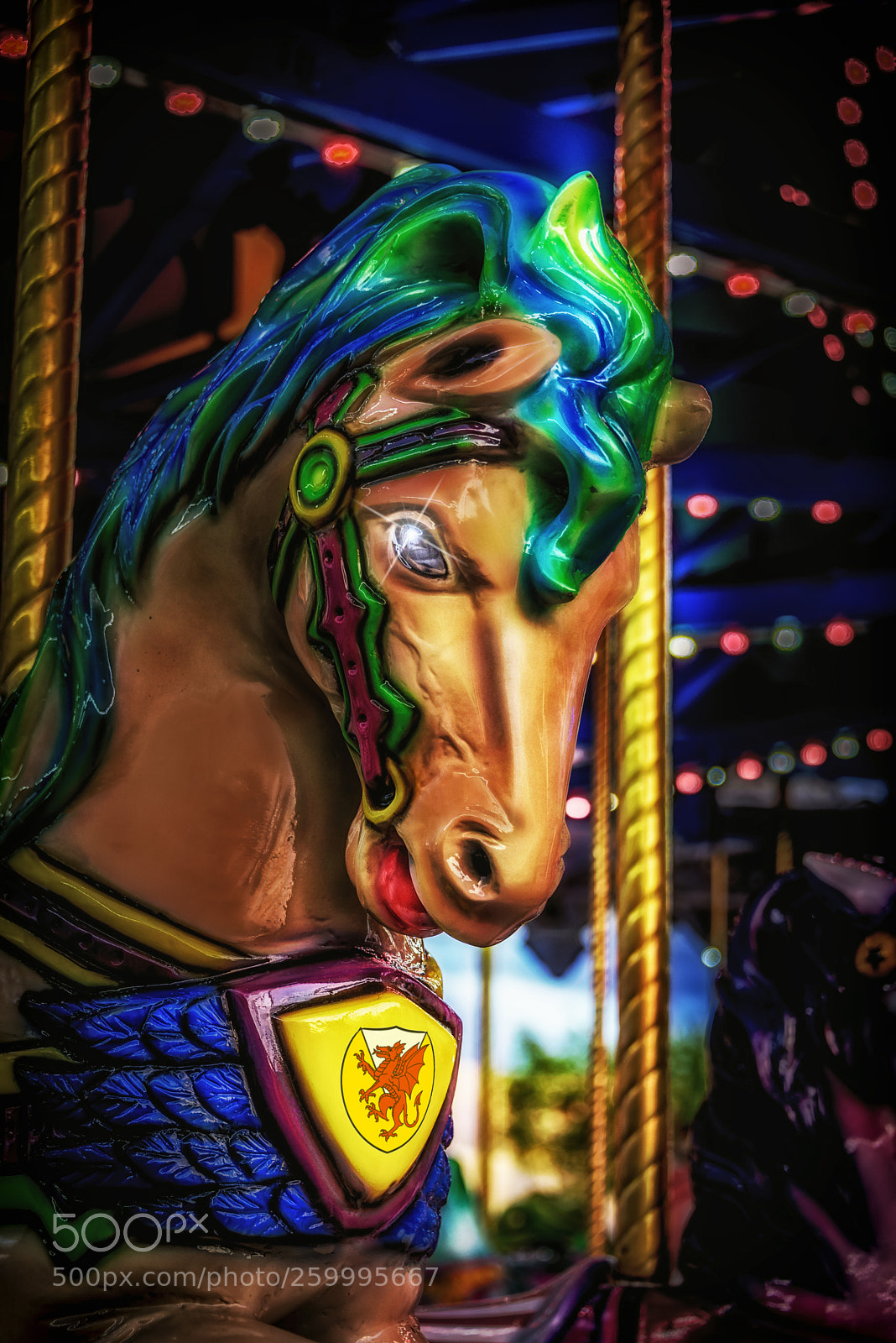 Nikon D750 sample photo. The wizard's carousel photography