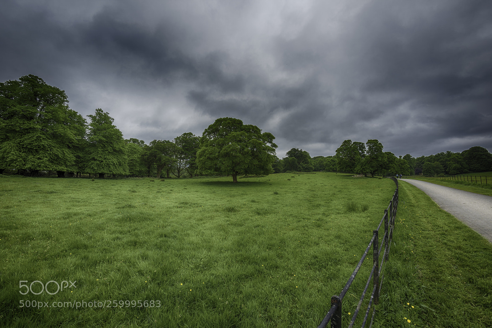 Nikon D810 sample photo. On the way to photography