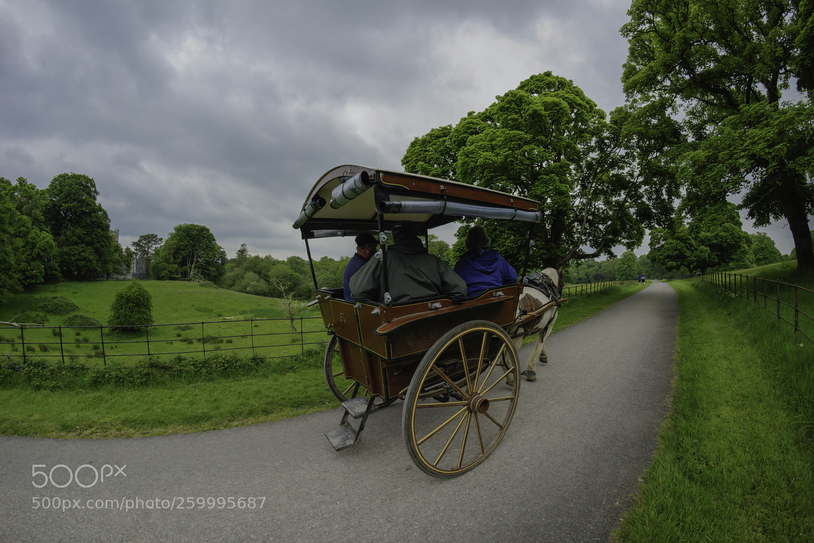 Nikon D810 sample photo. Jaunting car trip through photography