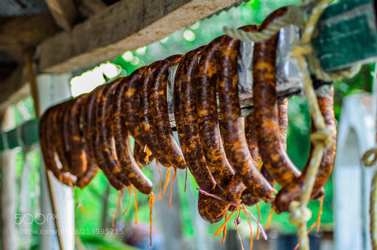 Nikon D3200 sample photo. Longaniza  photography