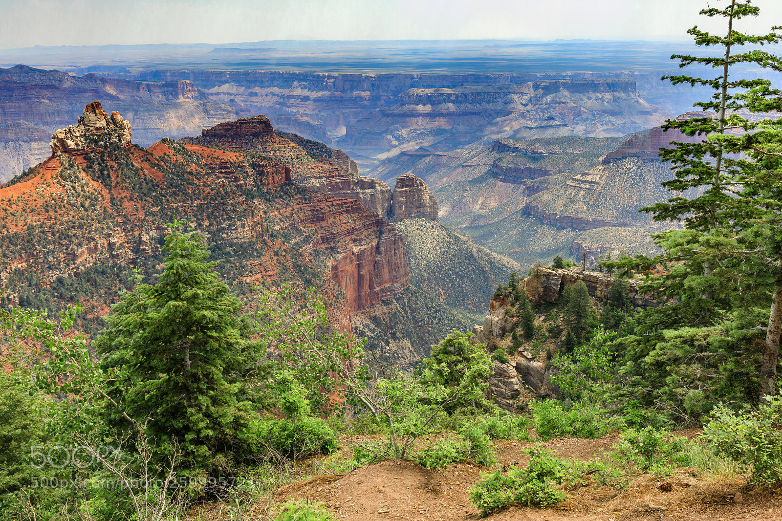Canon EOS 5D Mark IV sample photo. Grand canyon national park 3174 photography