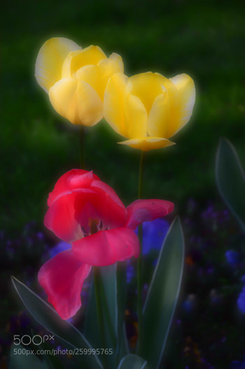 Nikon D7000 sample photo. Nd photography