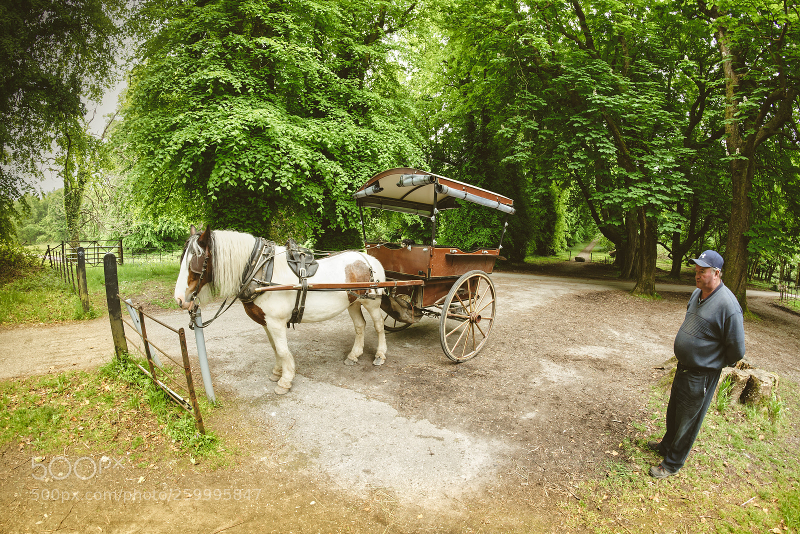 Nikon D810 sample photo. Fancy a trip on photography