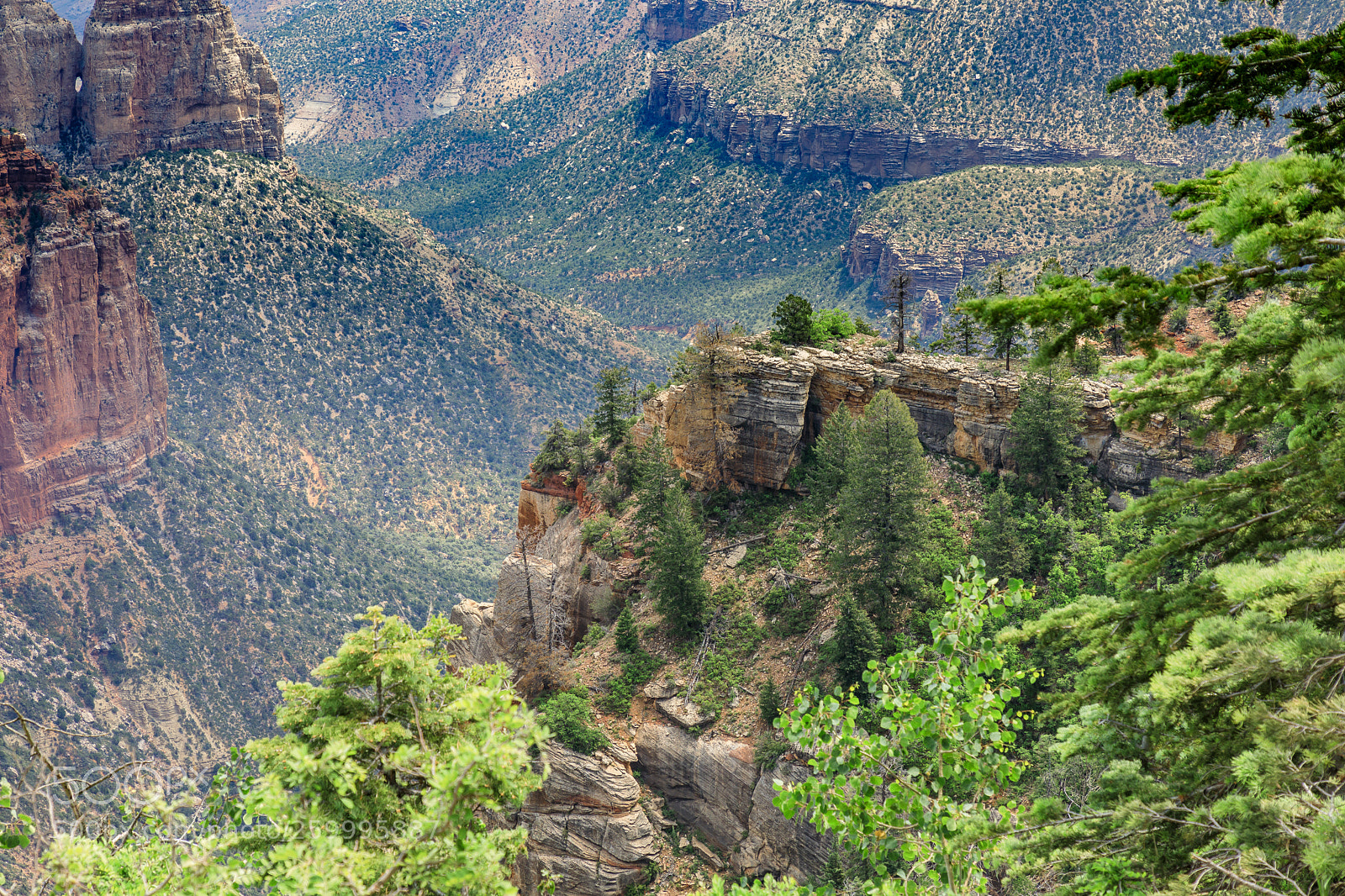 Canon EOS 5D Mark IV sample photo. Grand canyon national park 3176 photography