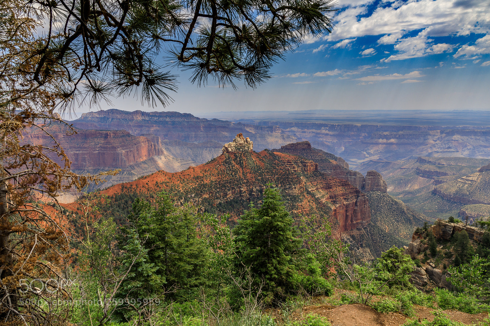 Canon EOS 5D Mark IV sample photo. Grand canyon national park 3177 photography