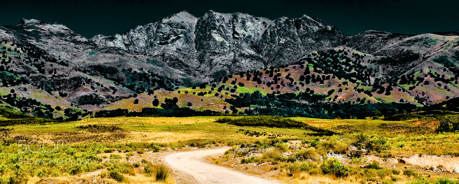 Nikon D5300 sample photo. El valle photography