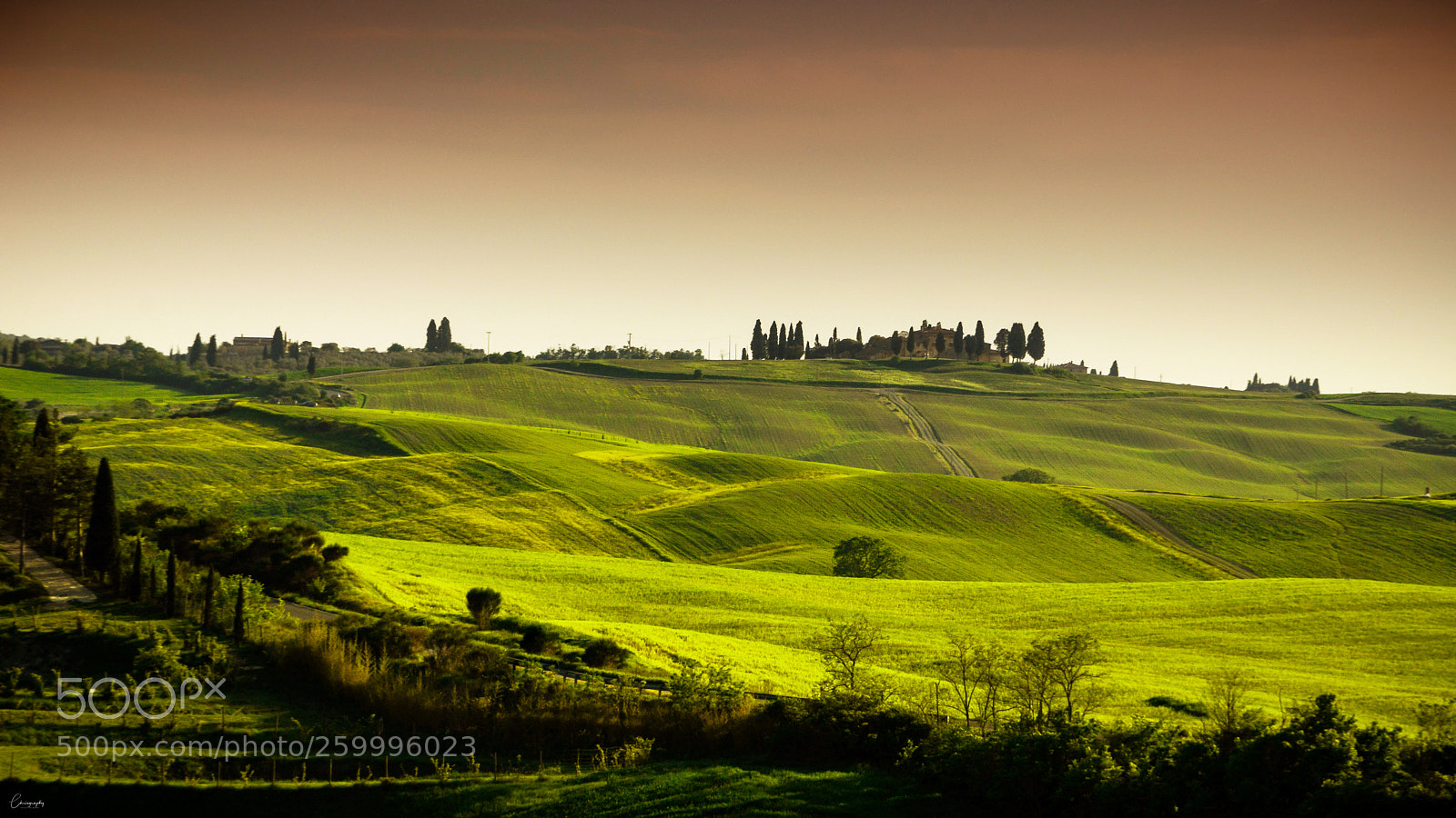 Nikon D7100 sample photo. Tuscan hills photography
