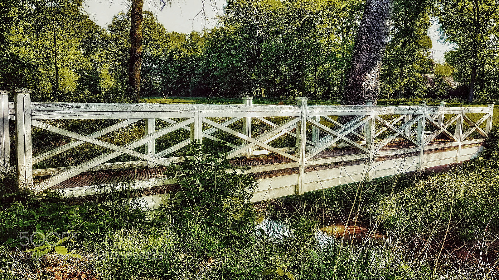 Samsung Galaxy S8 sample photo. Bridge photography