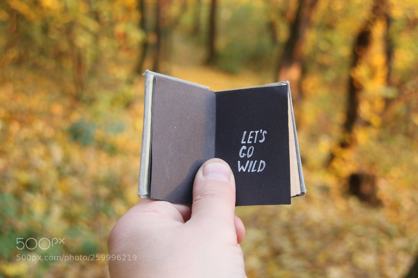 Canon EOS 70D sample photo. Let's go wild. tourism photography