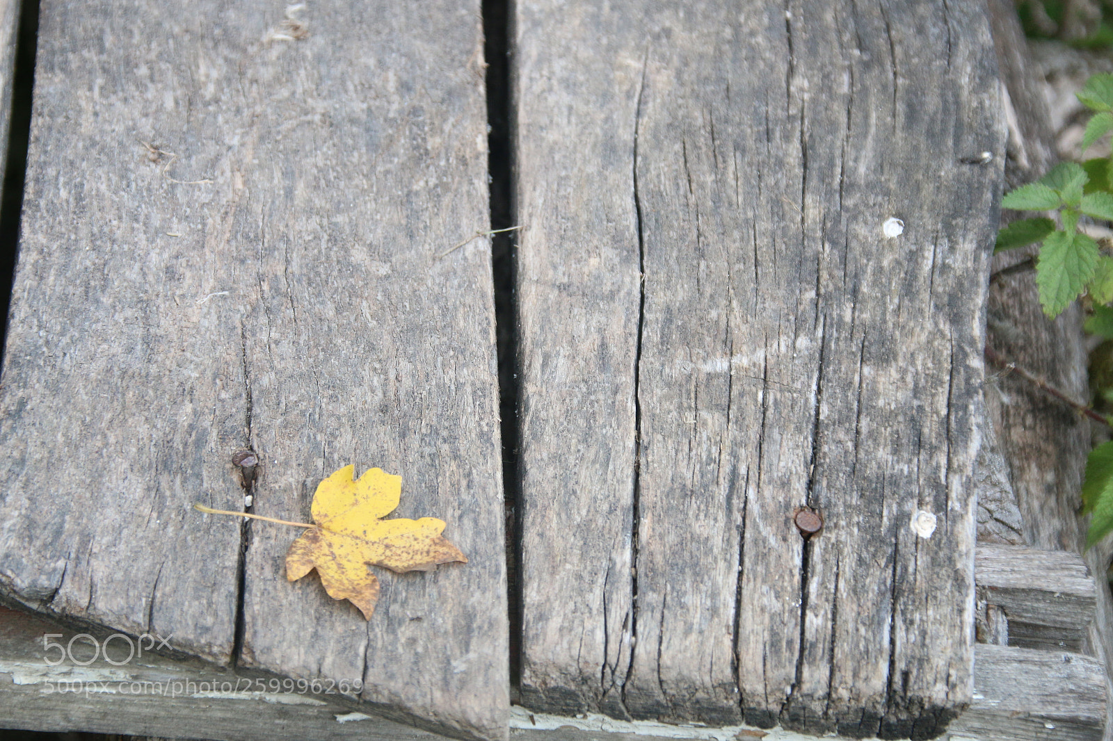 Canon EOS 70D sample photo. Old wooden planks, soft photography