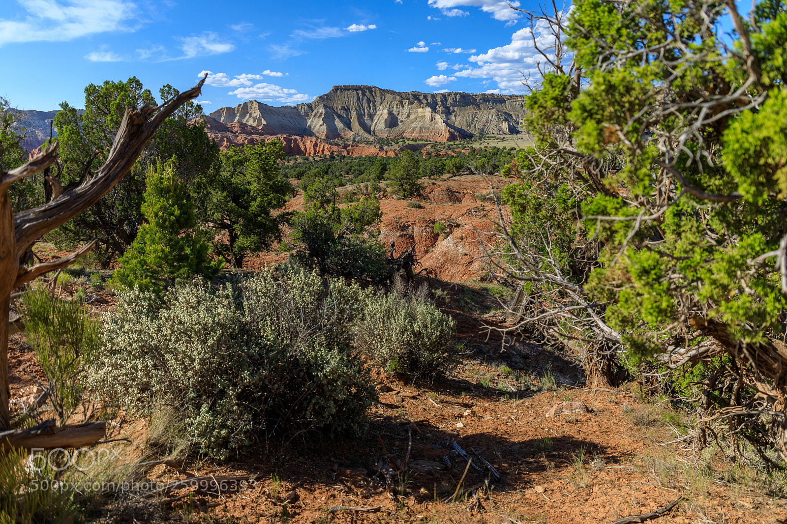 Canon EOS 5D Mark IV sample photo. Kodachrome basin state park 1774 photography