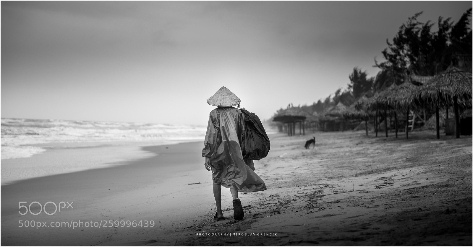 Nikon D610 sample photo. Vietnam photography