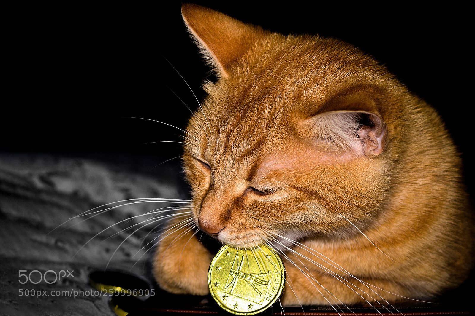 Nikon D5200 sample photo. Orange photography