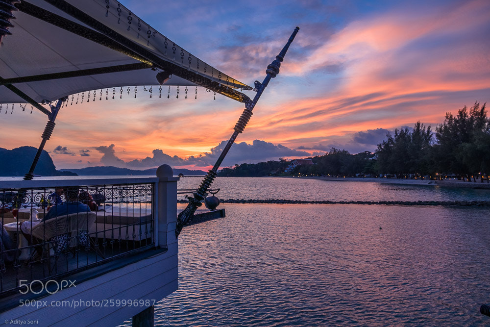 Canon EOS 80D sample photo. Kayu puti - sundowners photography