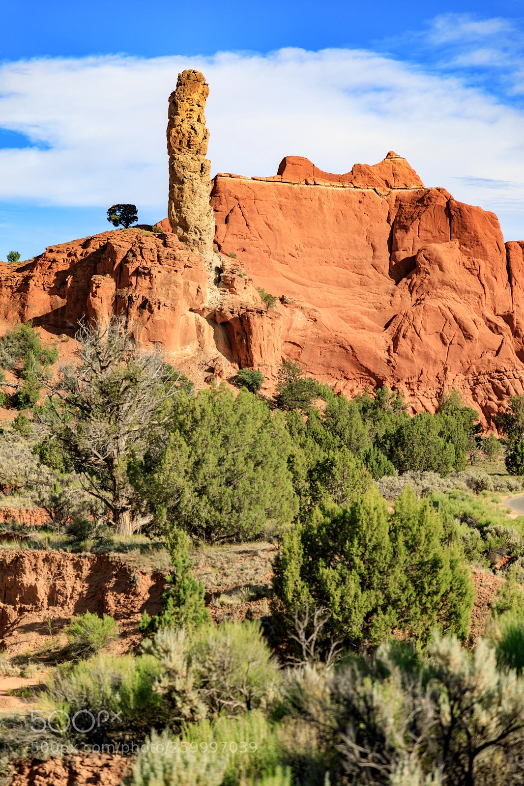 Canon EOS 5D Mark IV sample photo. Kodachrome basin state park 1806 photography