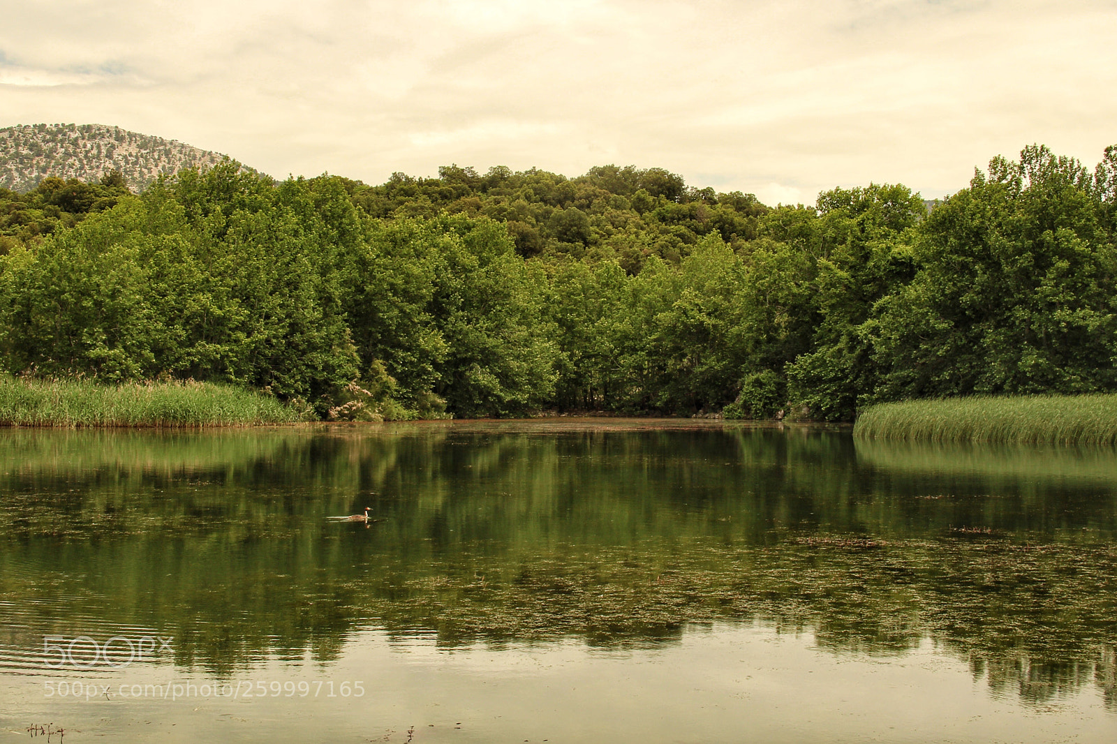 Canon EOS 650D (EOS Rebel T4i / EOS Kiss X6i) sample photo. Lake kovada turkey photography