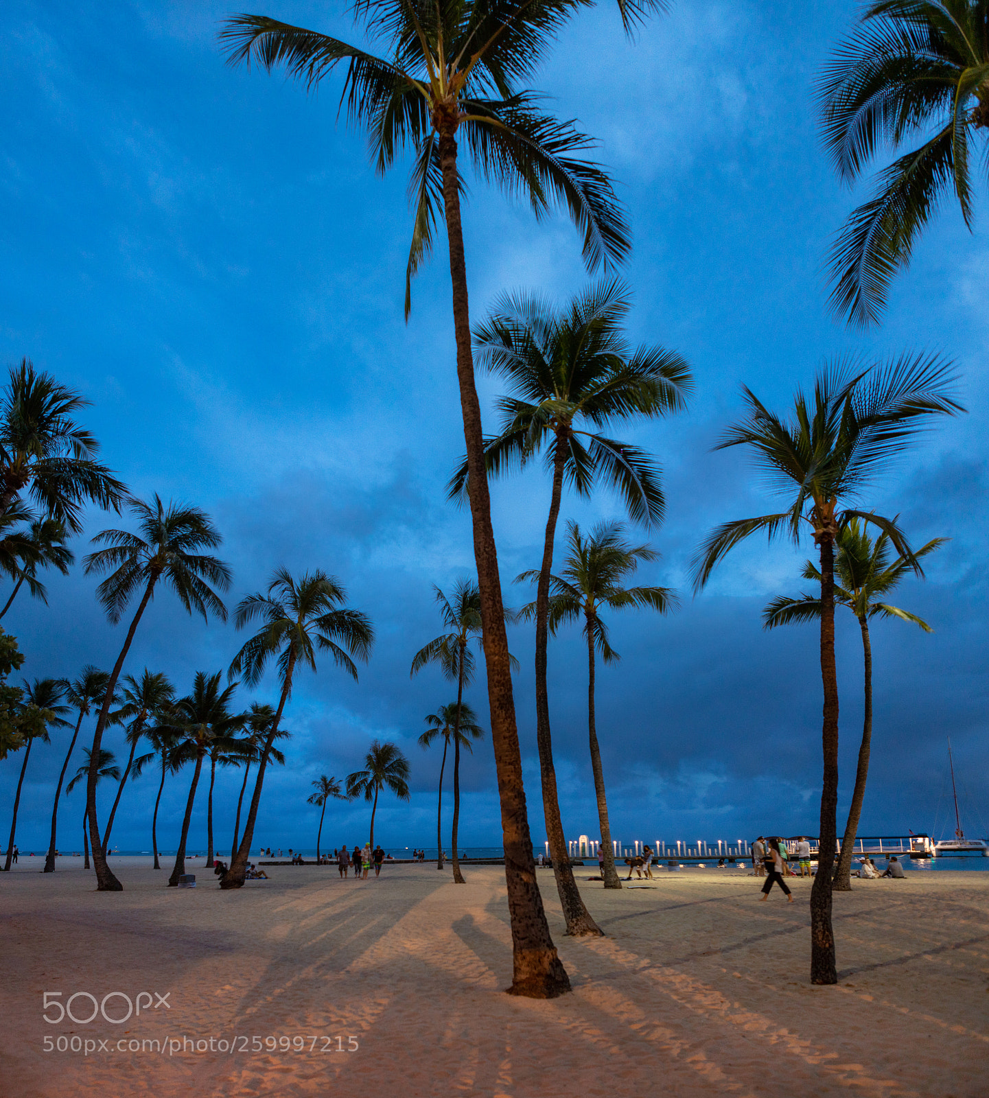 Canon EOS 5D Mark IV sample photo. Waikikicoconuts photography