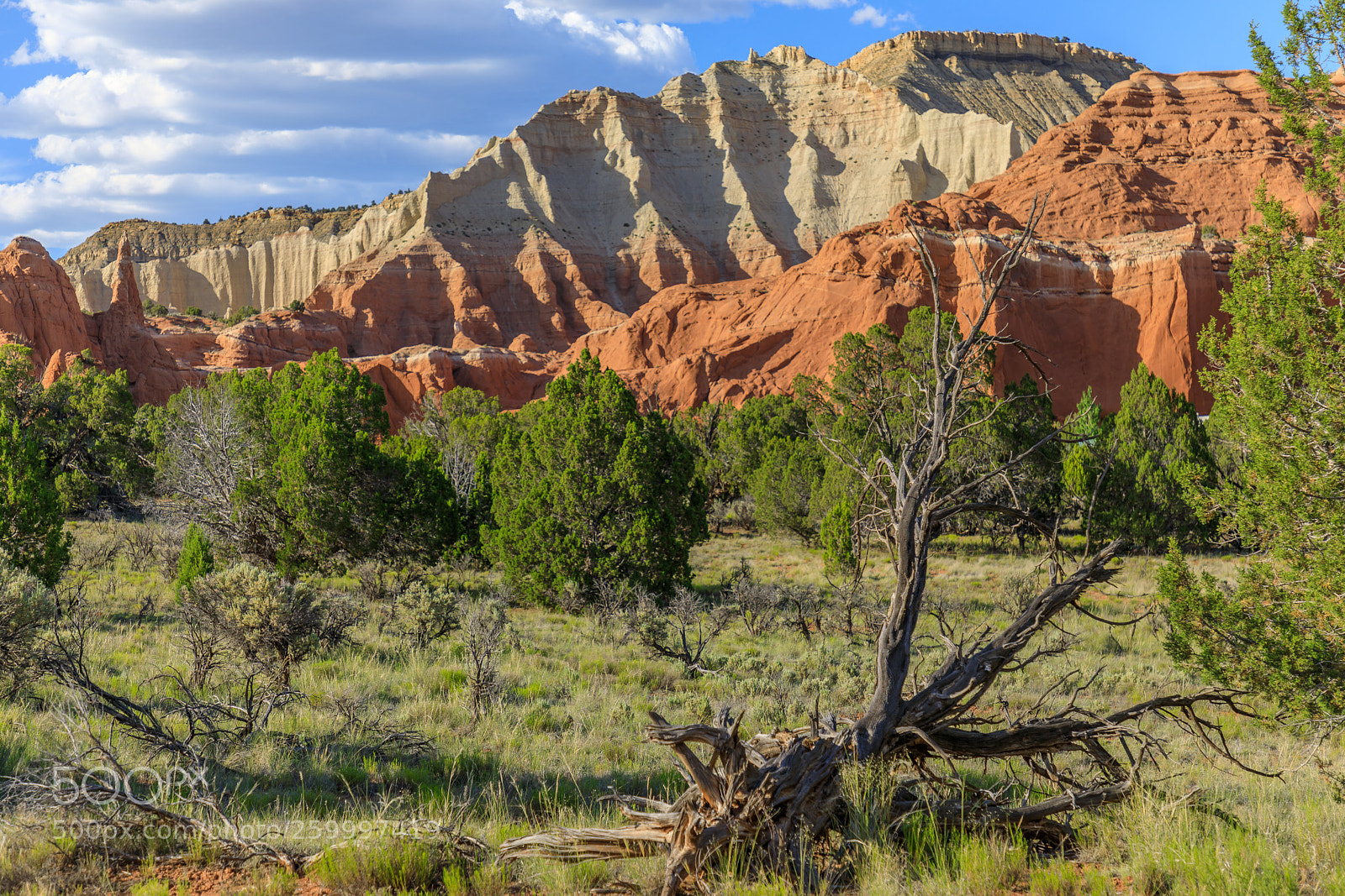 Canon EOS 5D Mark IV sample photo. Kodachrome basin state park 1835 photography